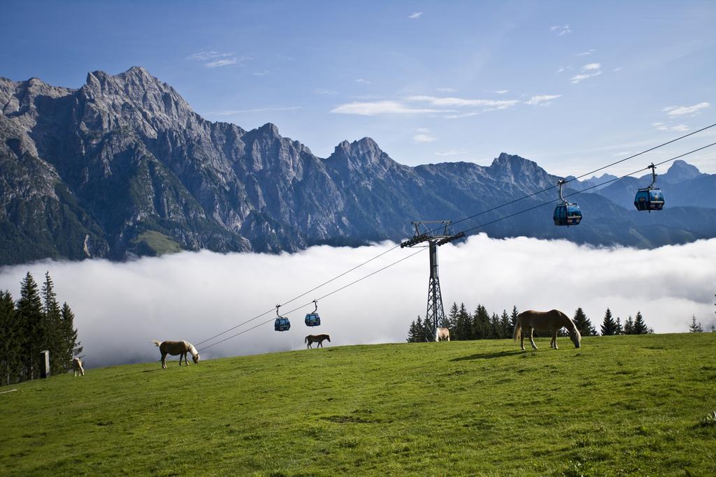 Appartement Haus Pichler ลีโอกัง ภายนอก รูปภาพ